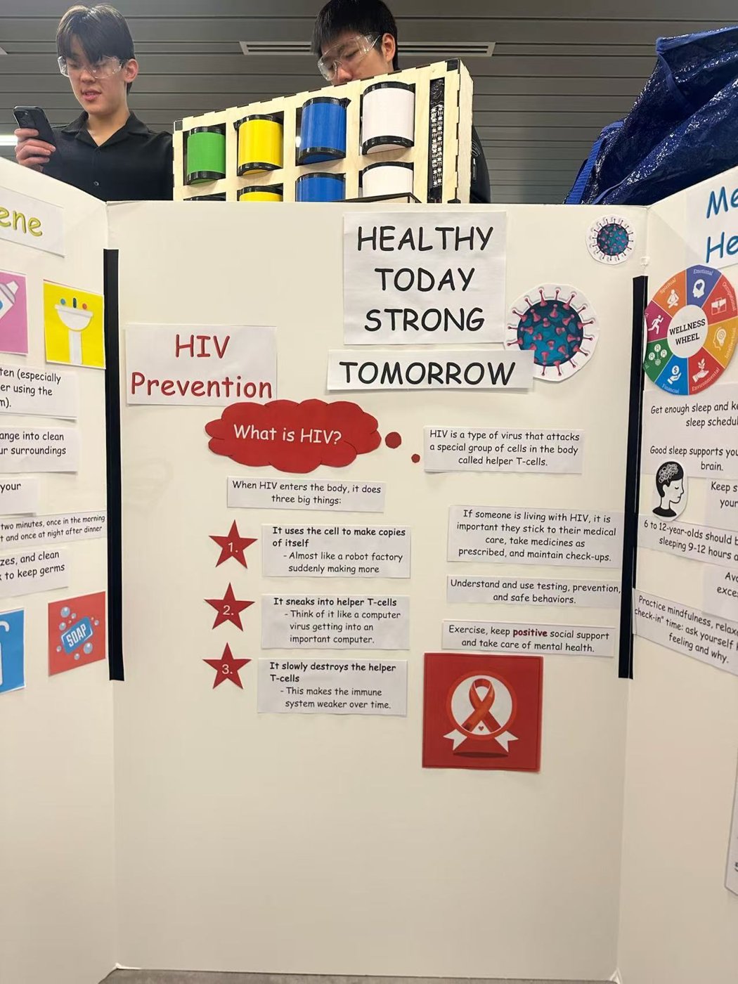 Healthy Habit Adventure — Interactive Health-Education Exhibit
